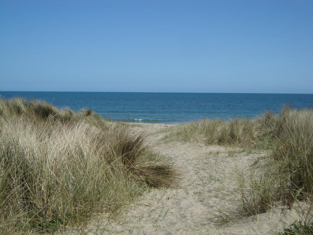 Clifford House B & B Rosslare Harbour Exterior foto