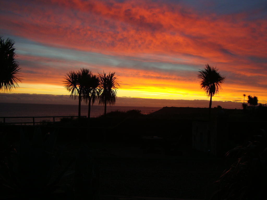 Clifford House B & B Rosslare Harbour Exterior foto